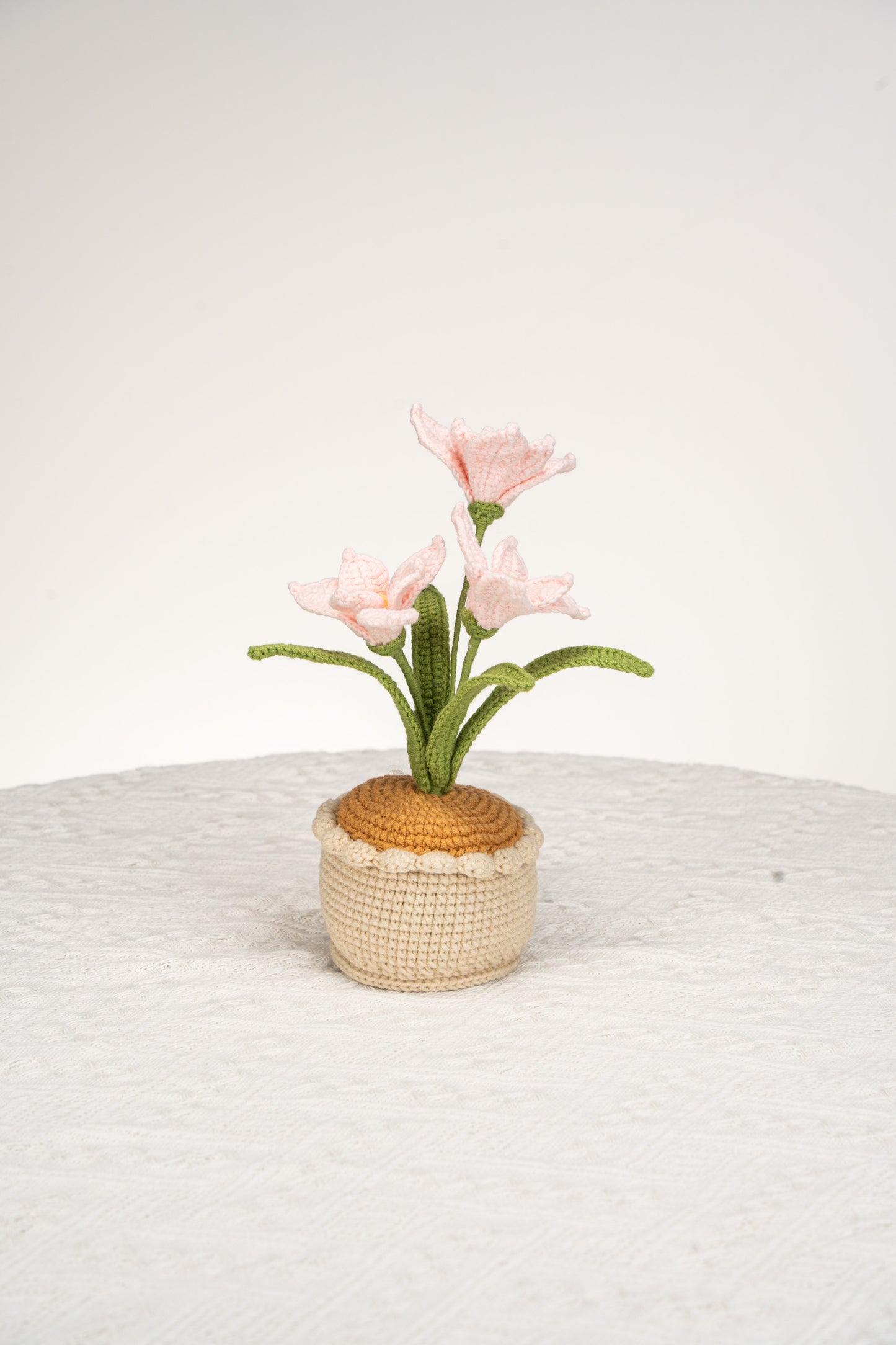 pink orchid