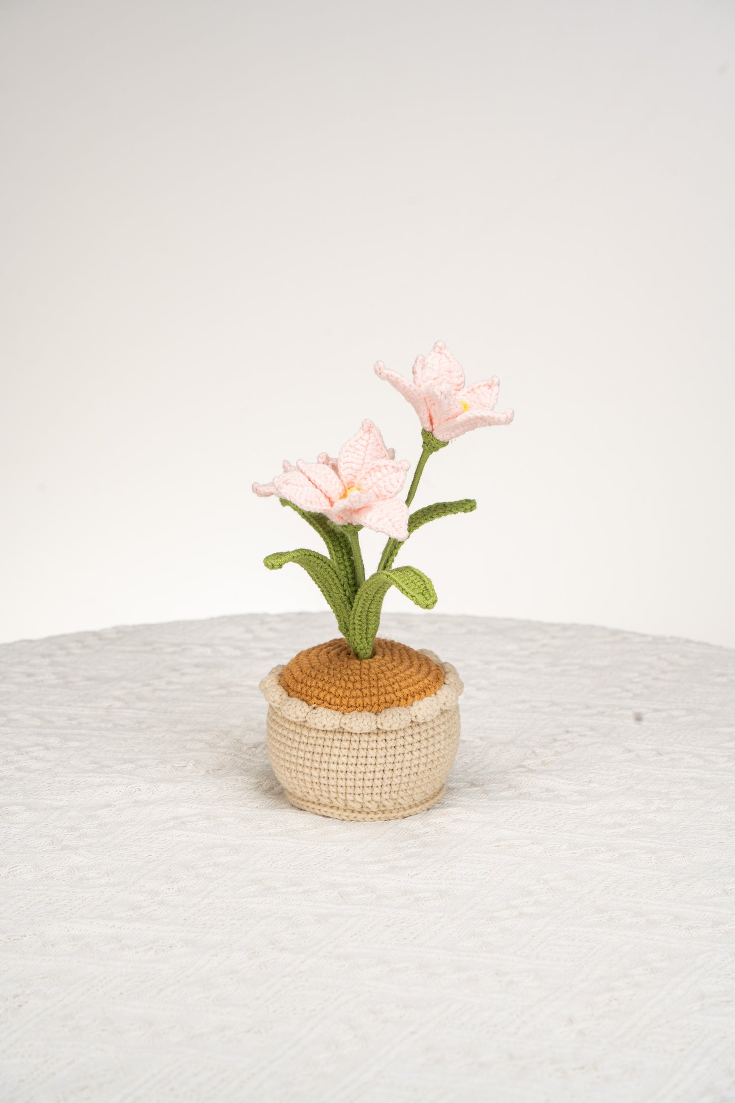pink orchid