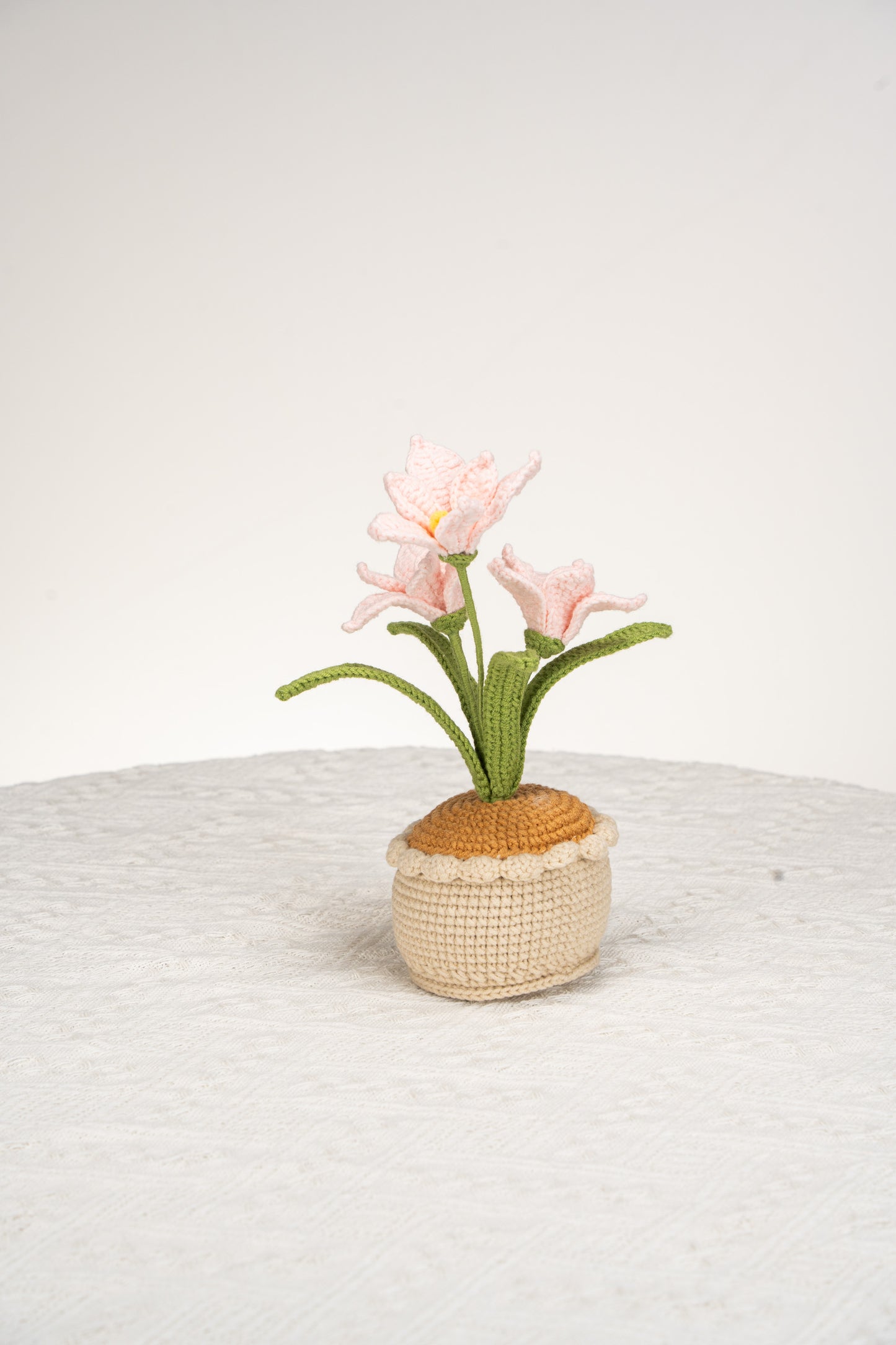 pink orchid