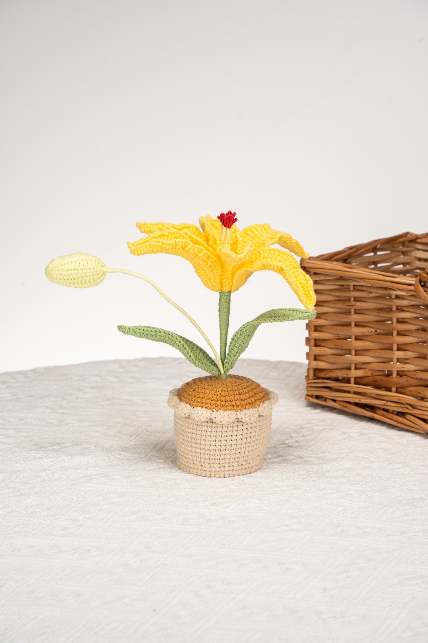 yellow lily