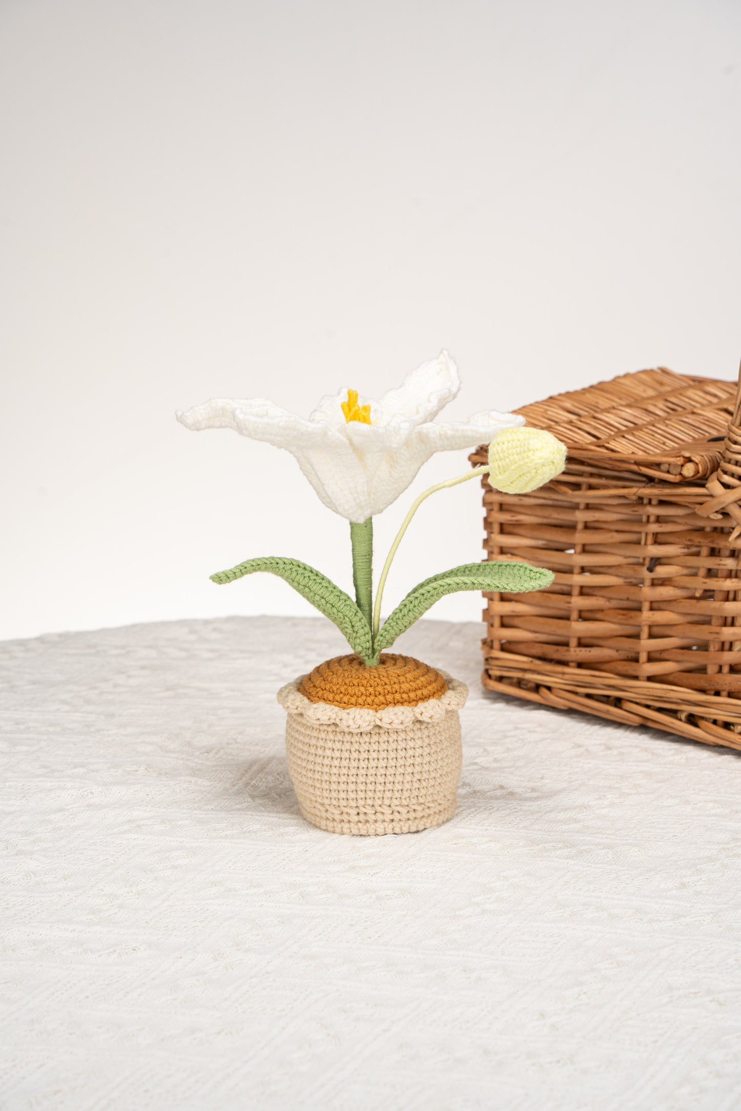 white lily
