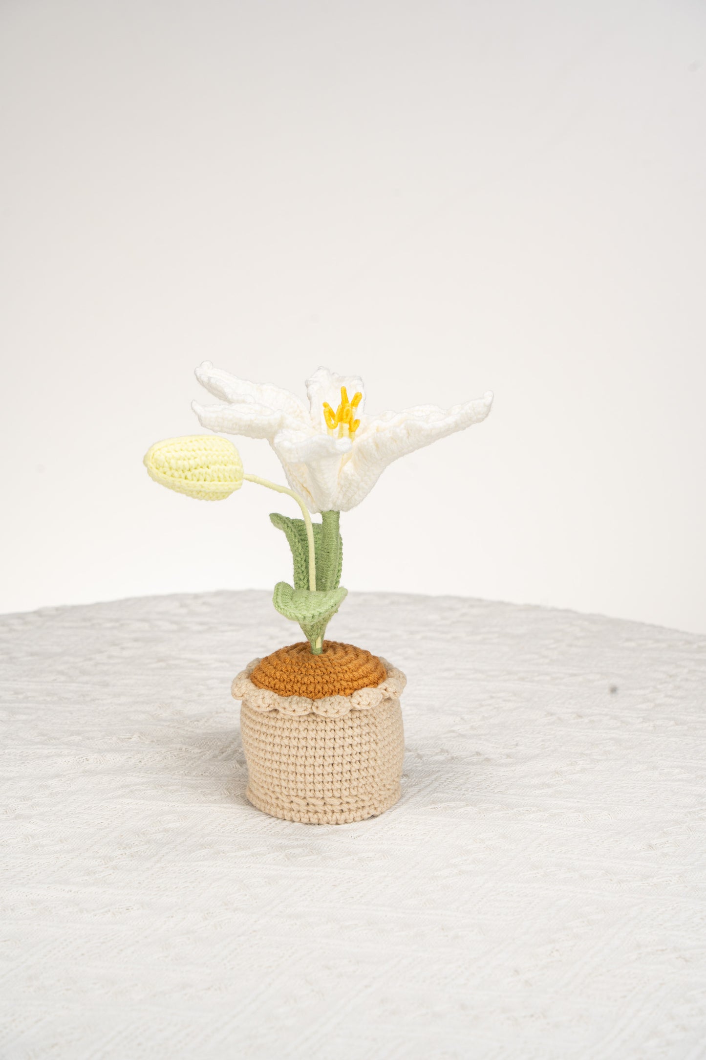 white lily