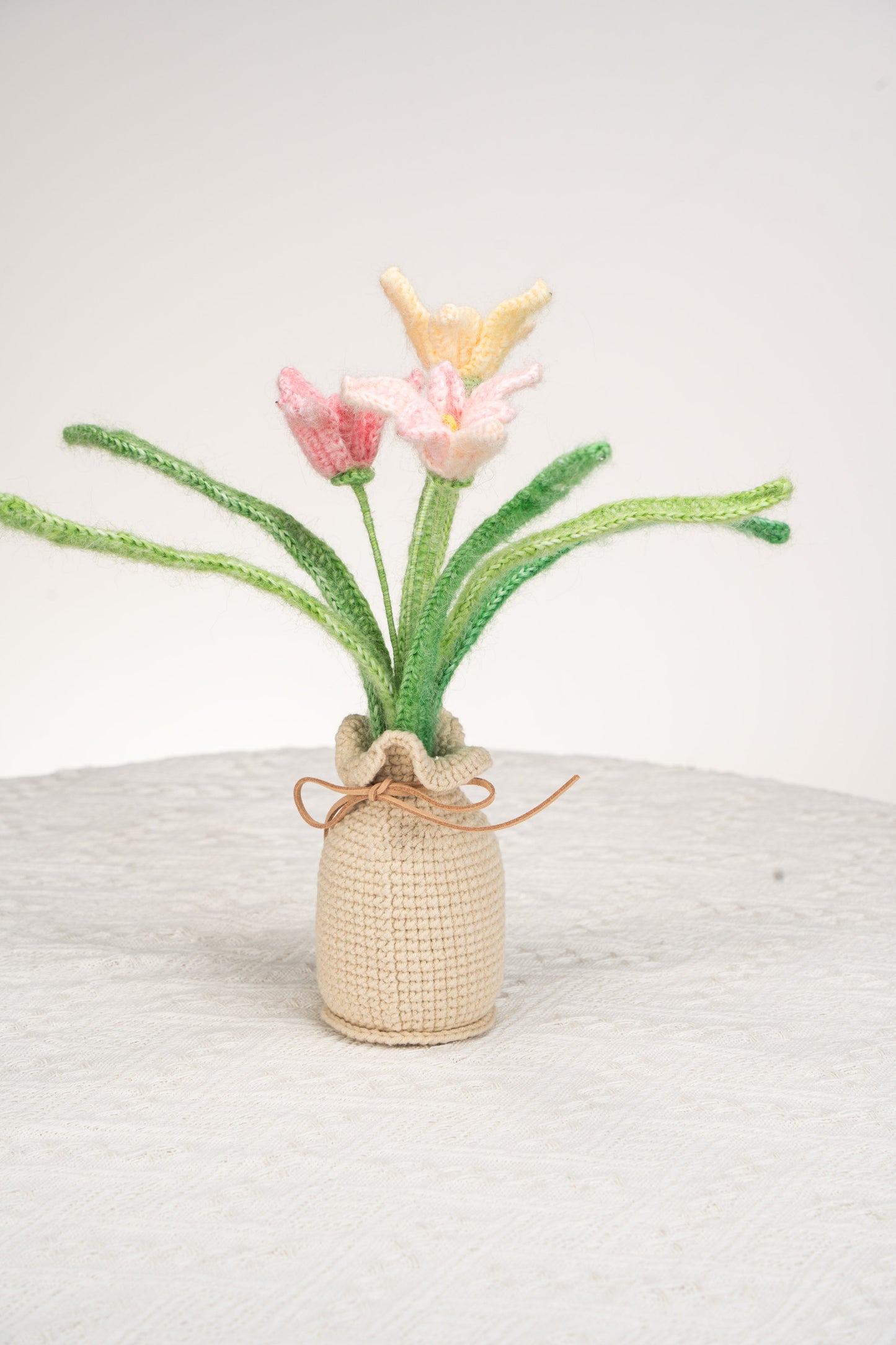 pink orchid
