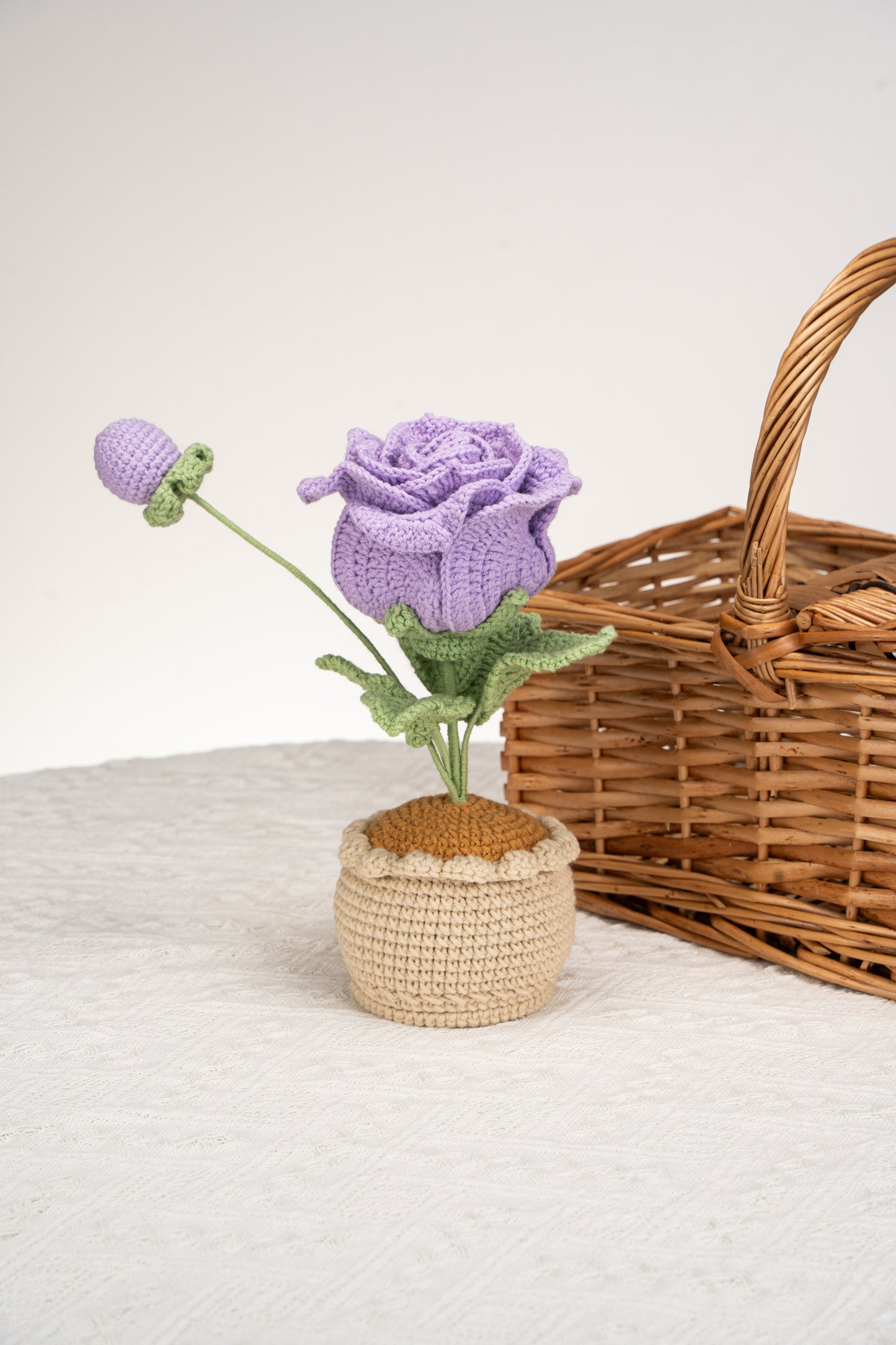 purple Thai rose