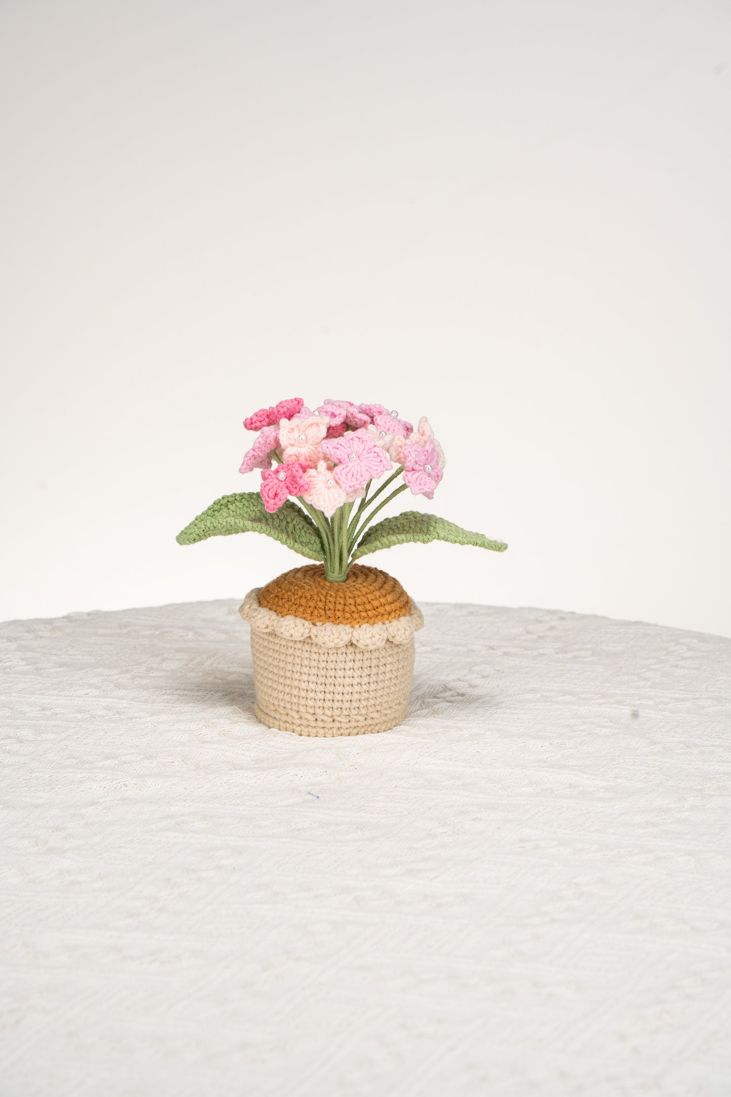 pink Hydrangea