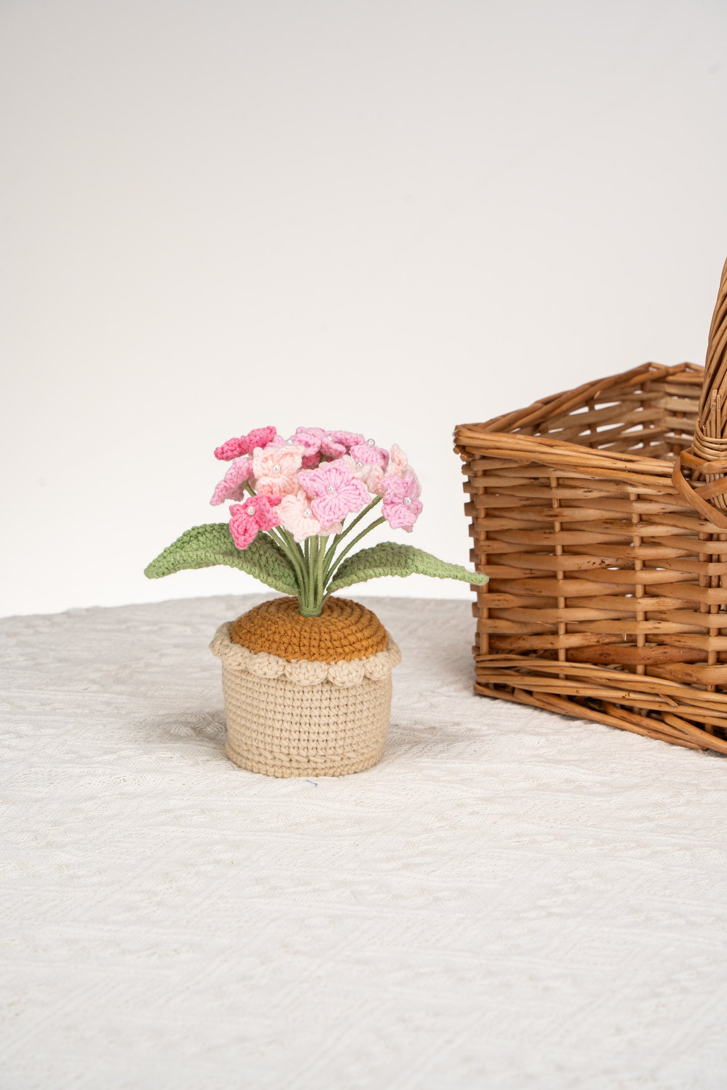 pink Hydrangea