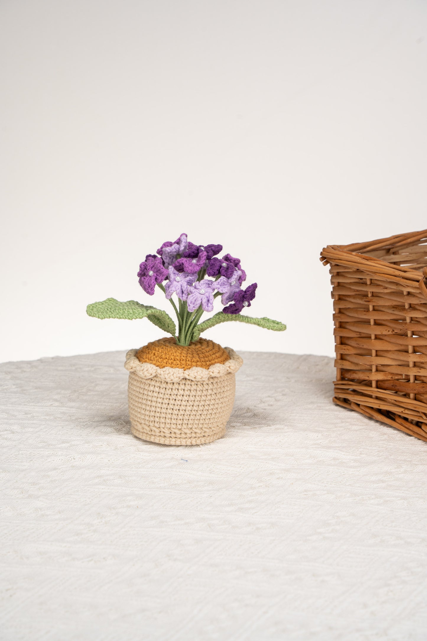 purple Hydrangea