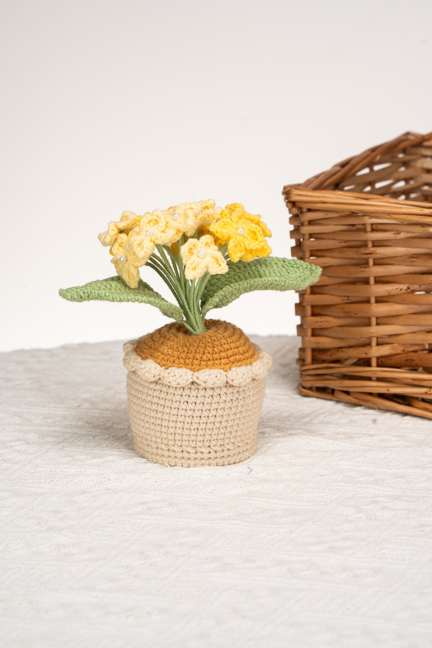 yellow Hydrangea