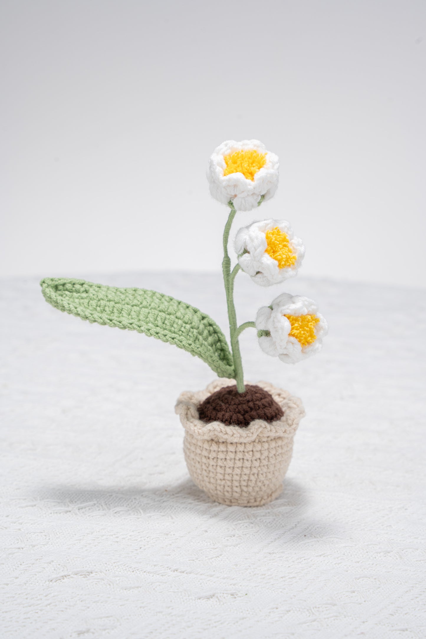 Small Lily of the valley