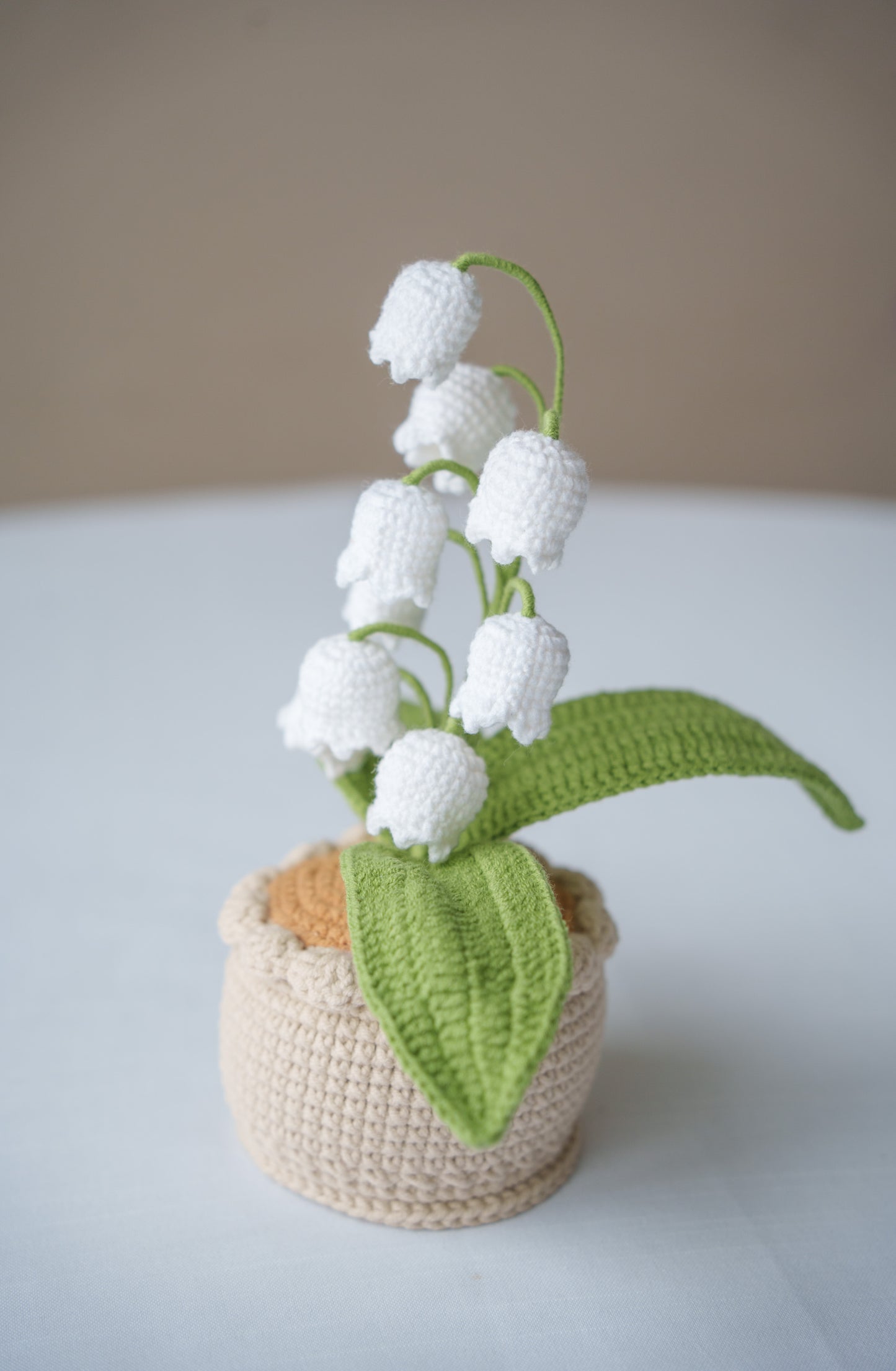 White Lily of The Valley