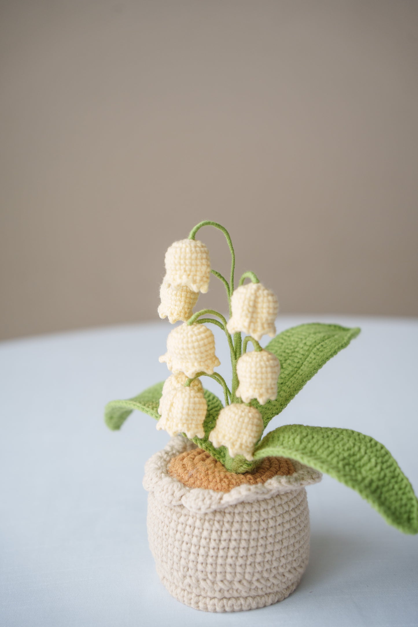 Yellow Lily of The Valley