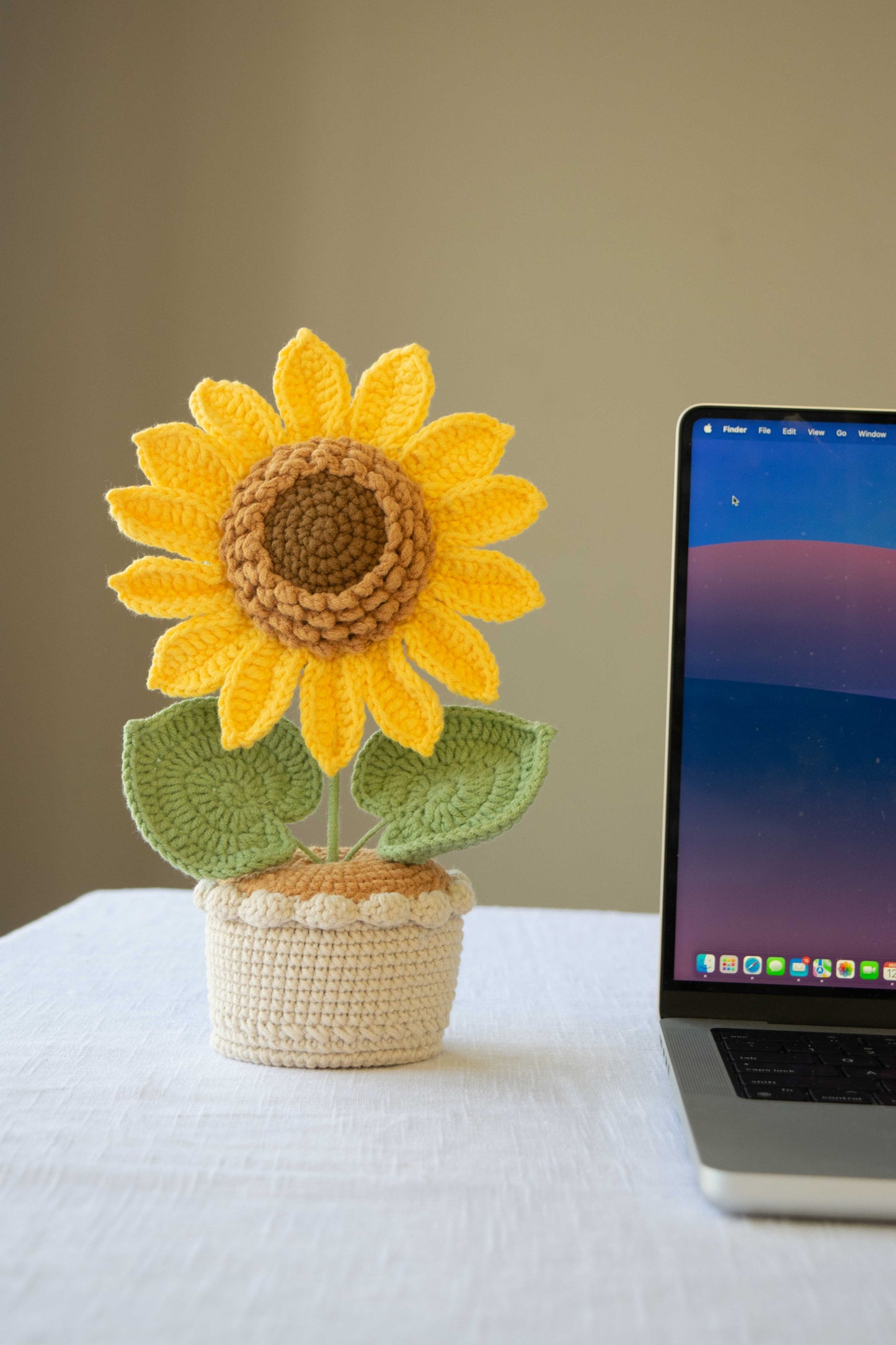 sunflower potted plant