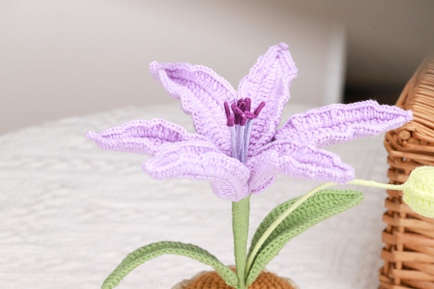 purple lily