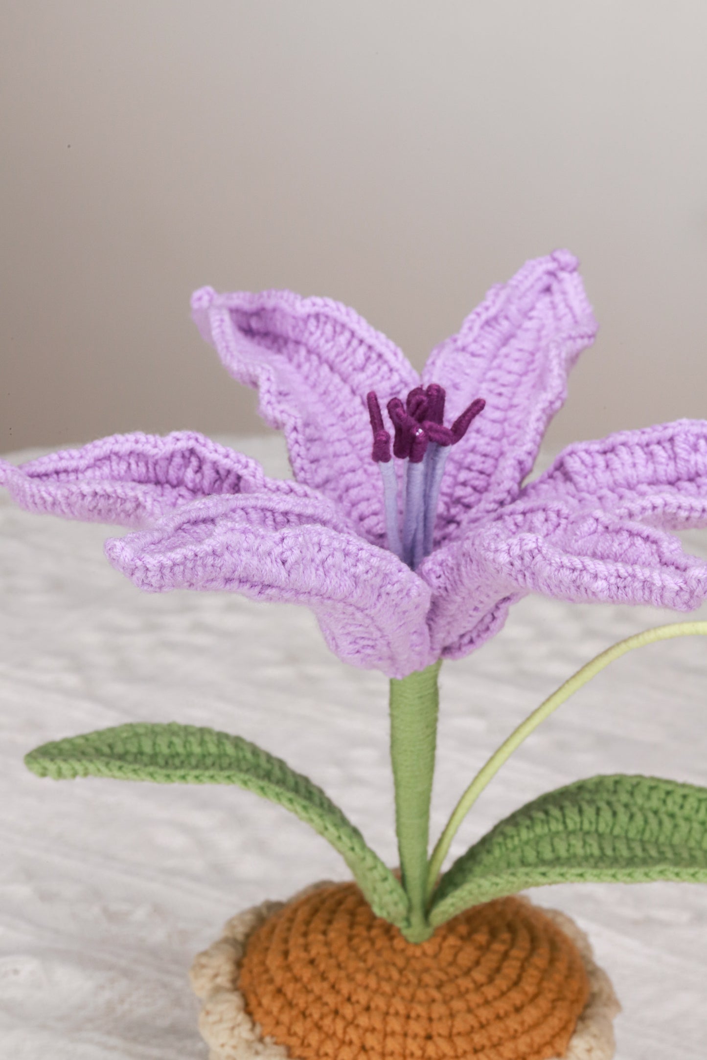purple lily