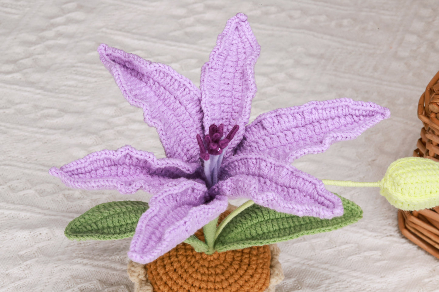 purple lily