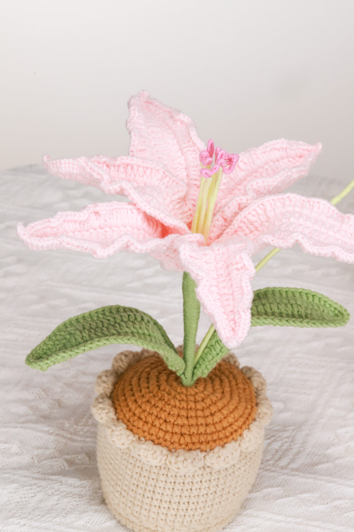 pink lily