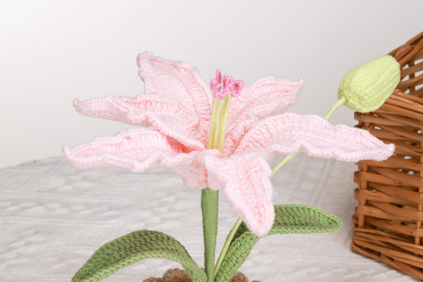 pink lily