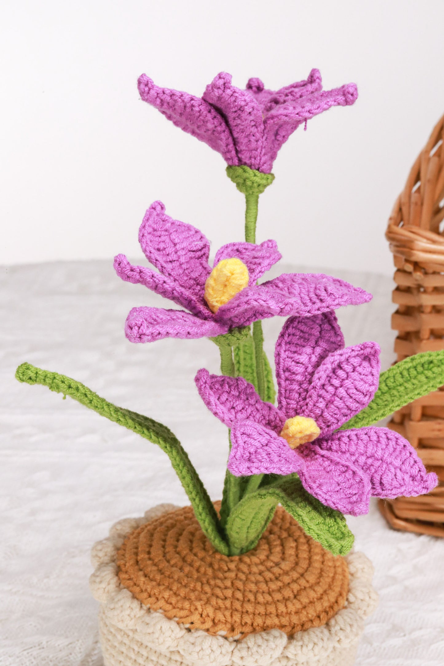 purple orchid