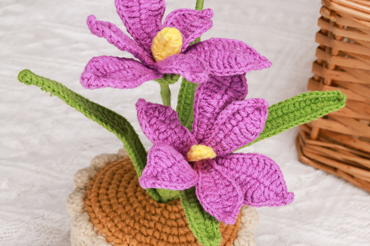 purple orchid