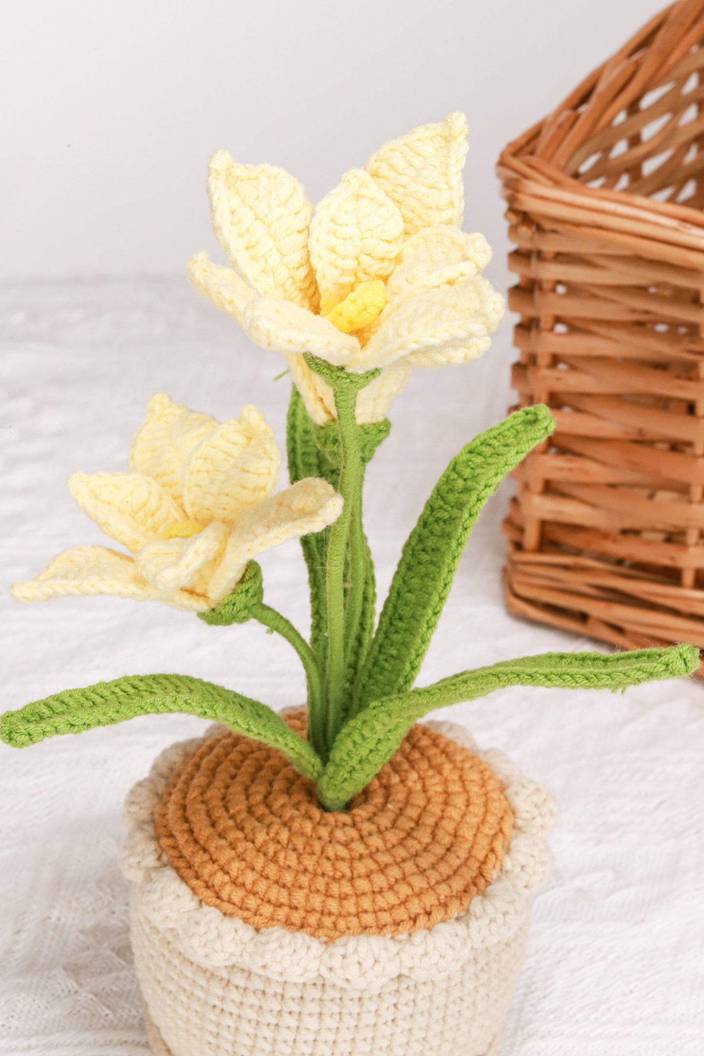 yellow orchid