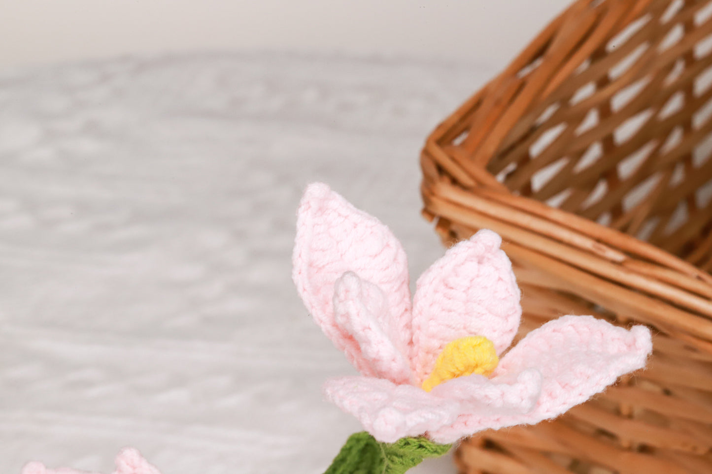 pink orchid