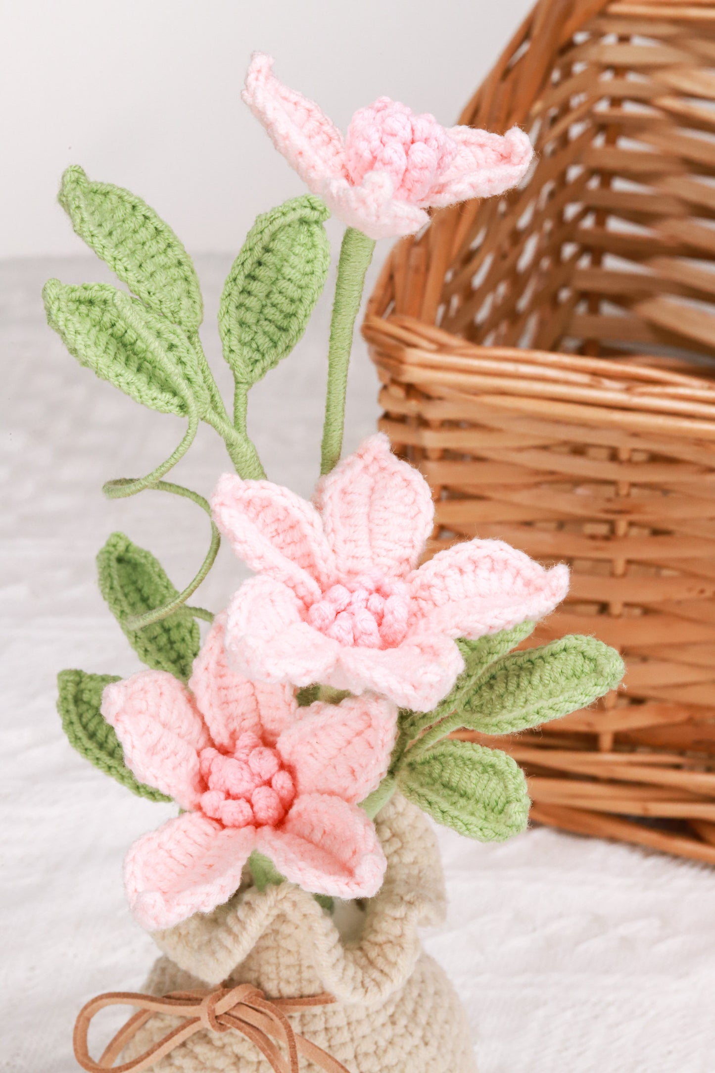 pink clematis