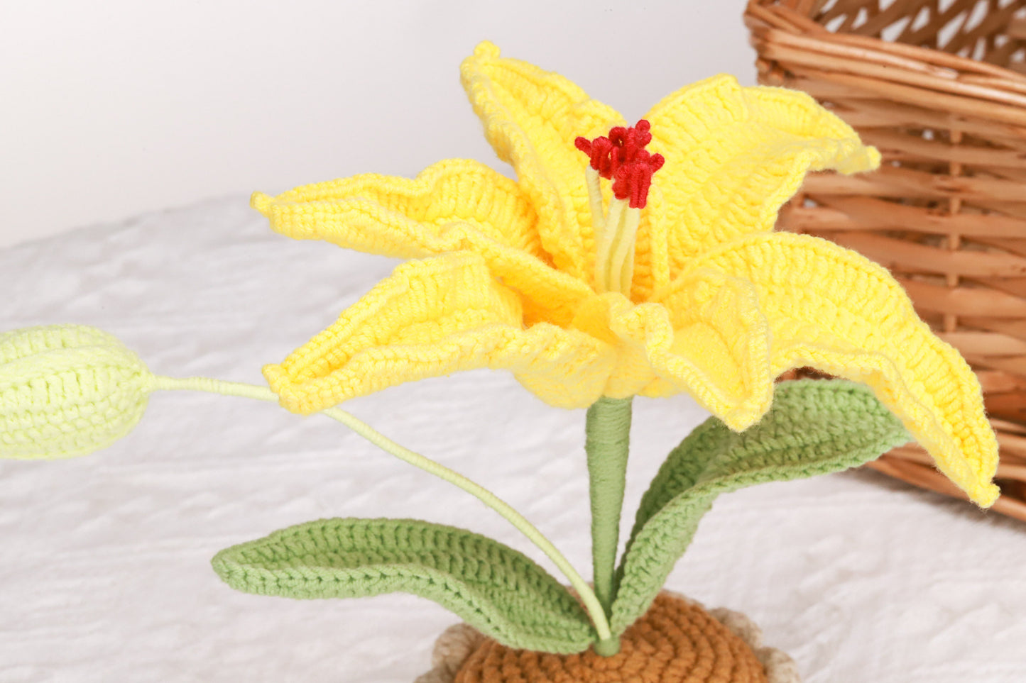 yellow lily