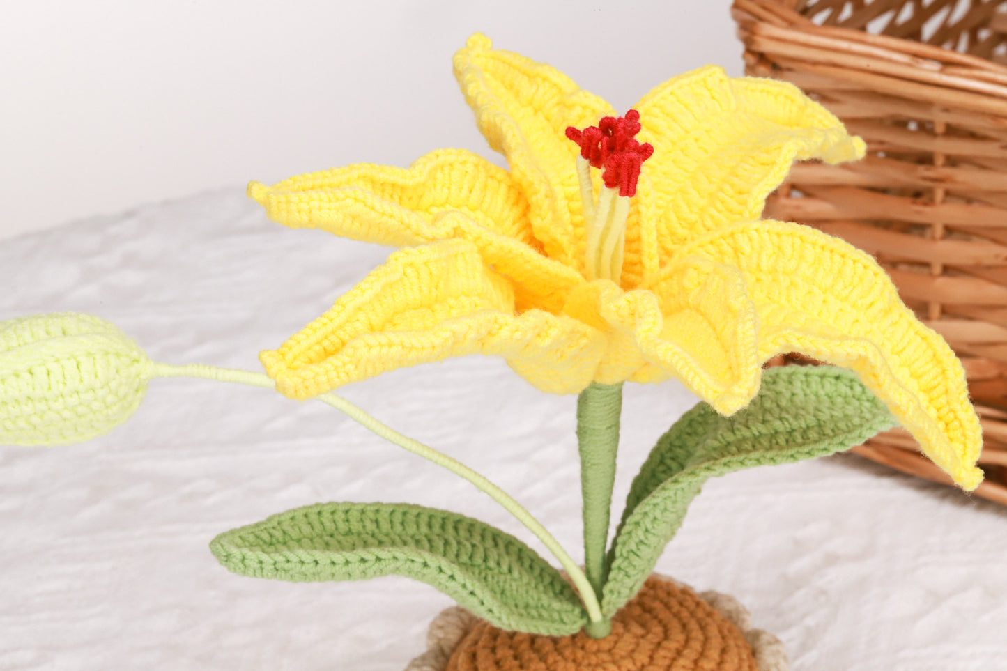 yellow lily