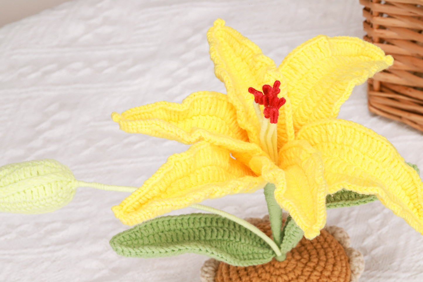 yellow lily