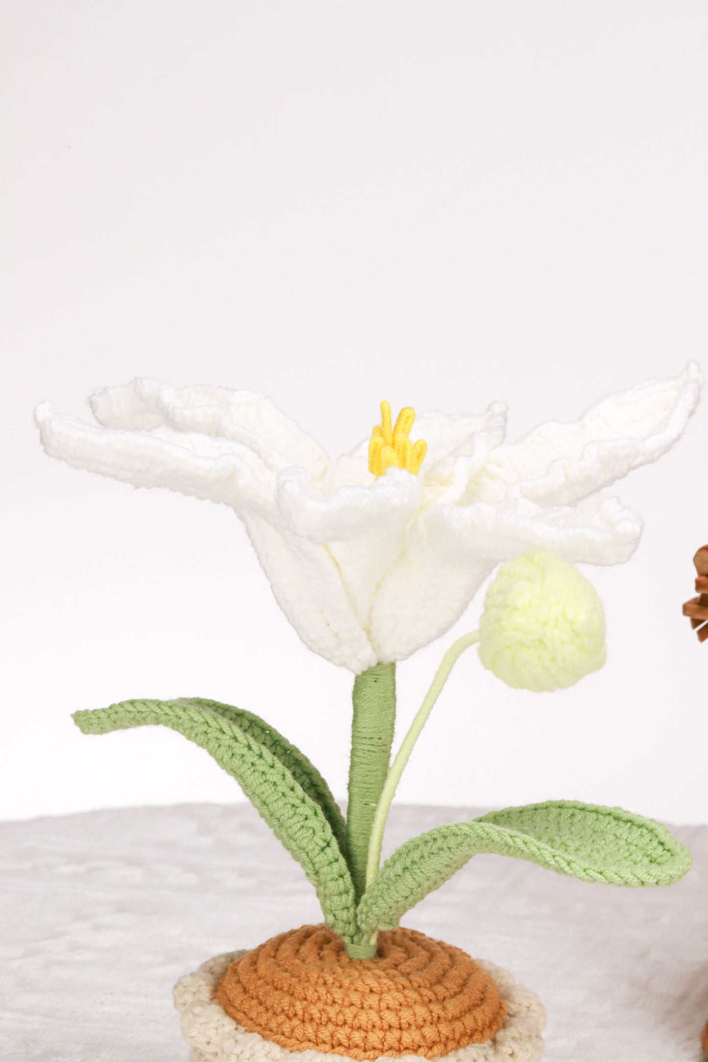 white lily