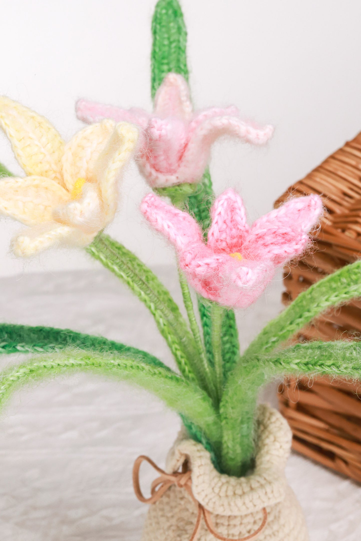 pink orchid