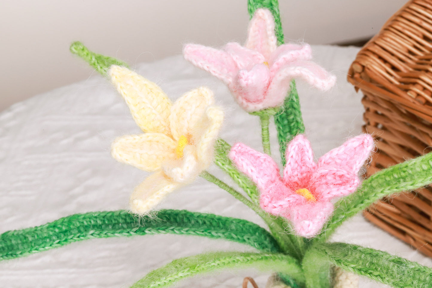 pink orchid