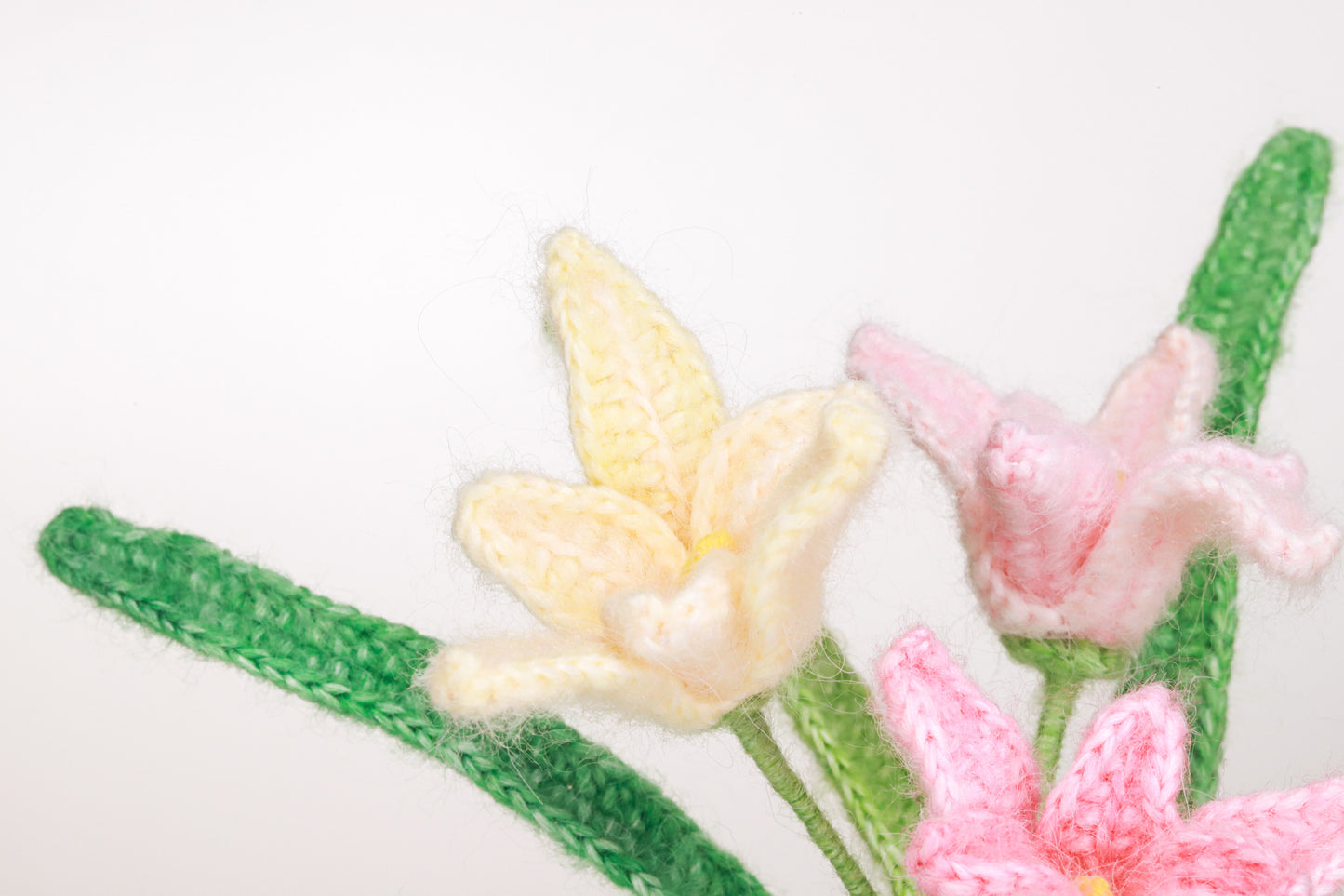 pink orchid