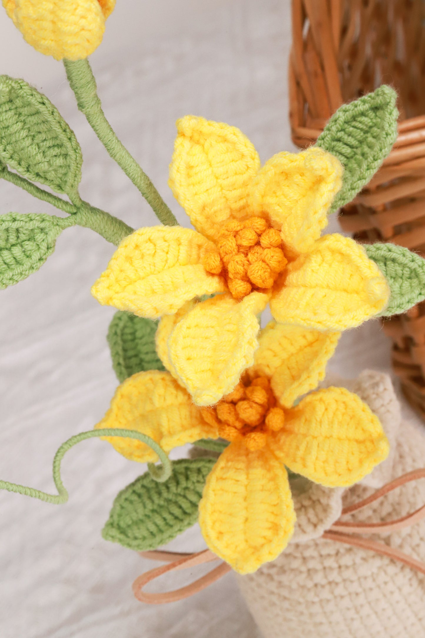 yellow clematis