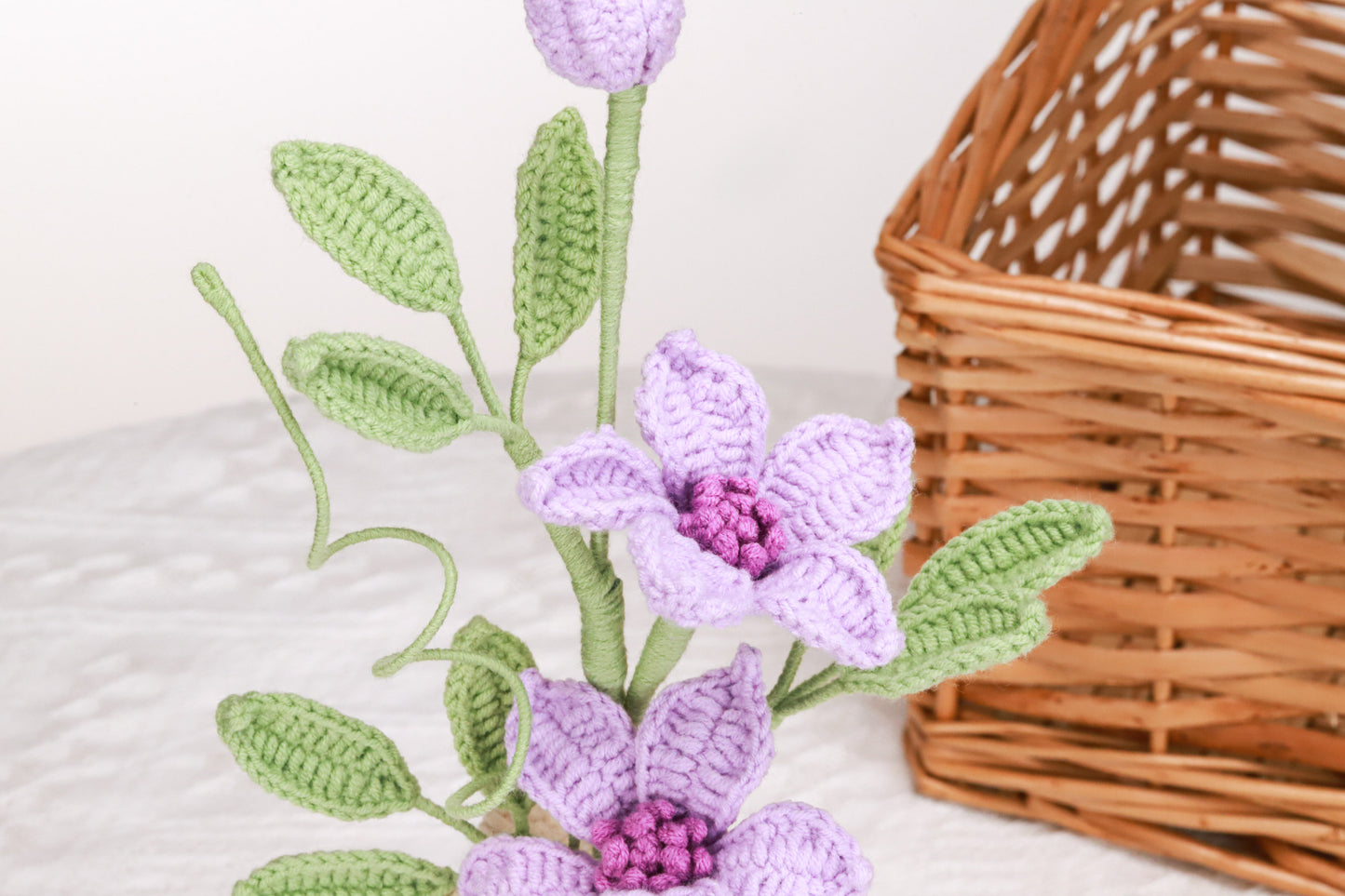 purple clematis