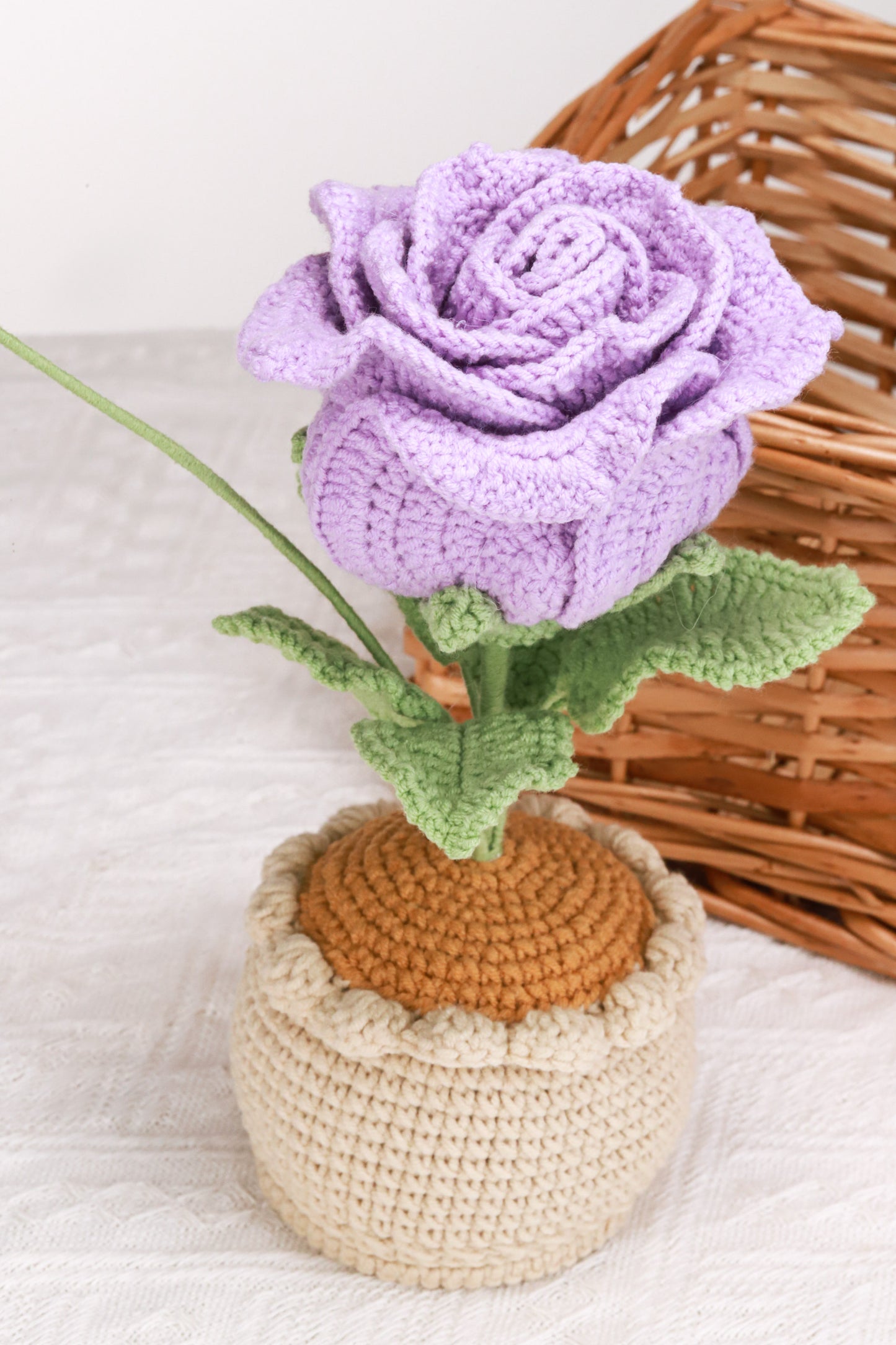 purple Thai rose