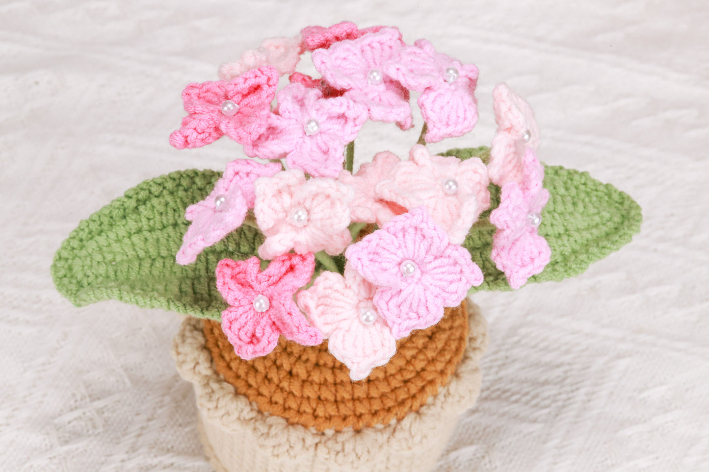 pink Hydrangea