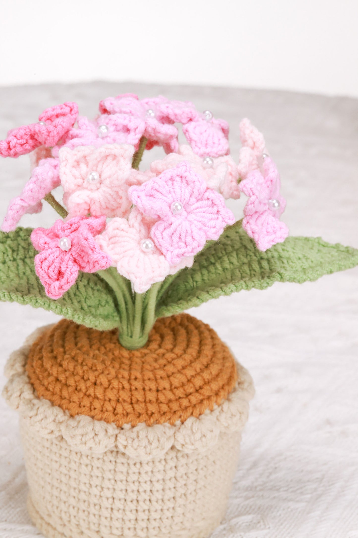 pink Hydrangea