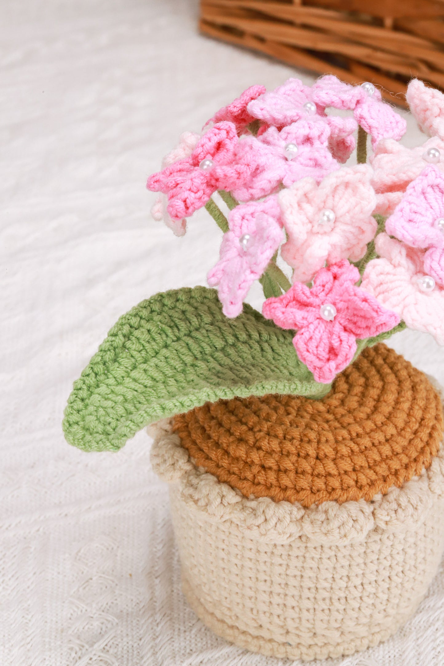 pink Hydrangea