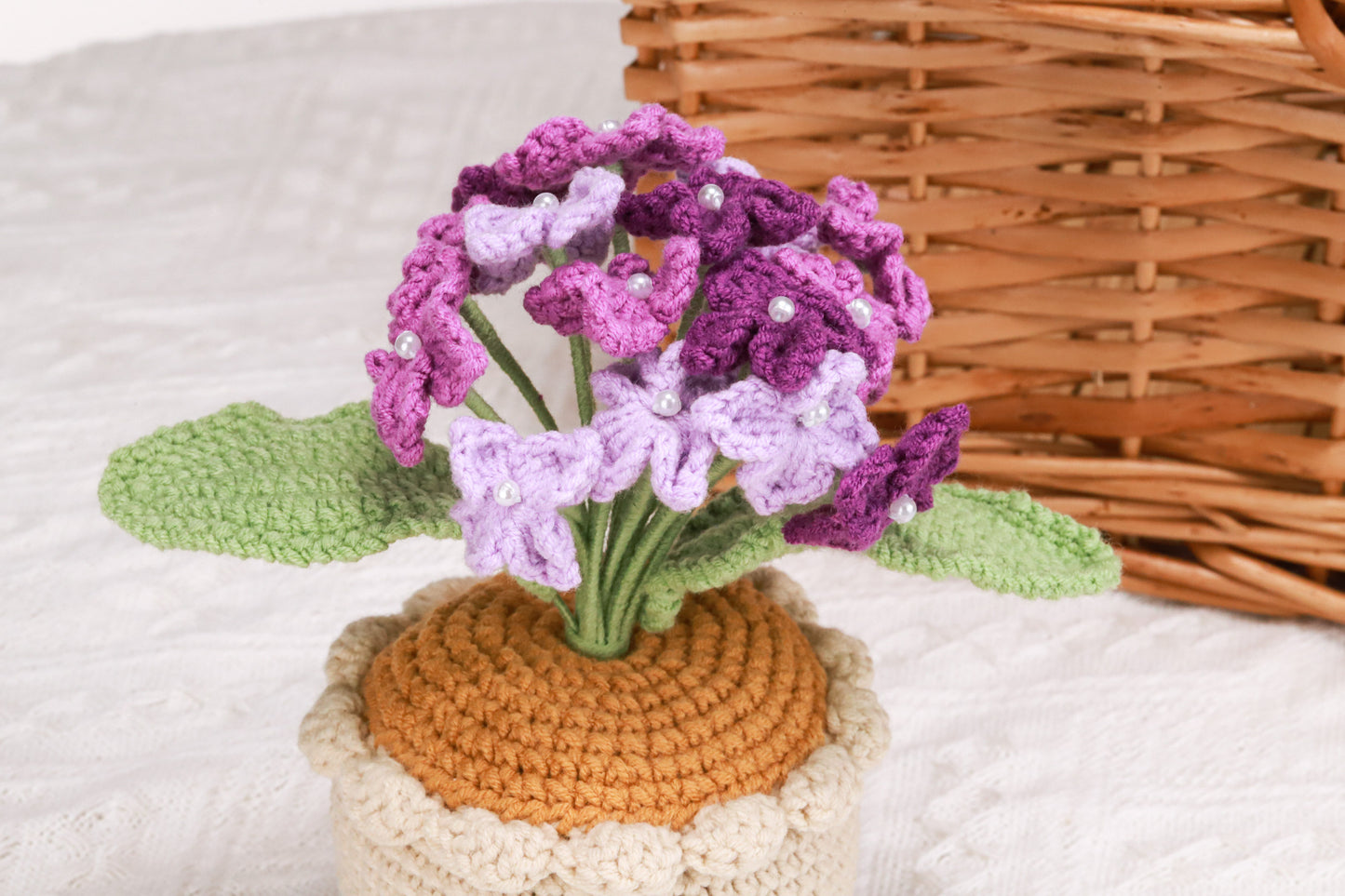purple Hydrangea