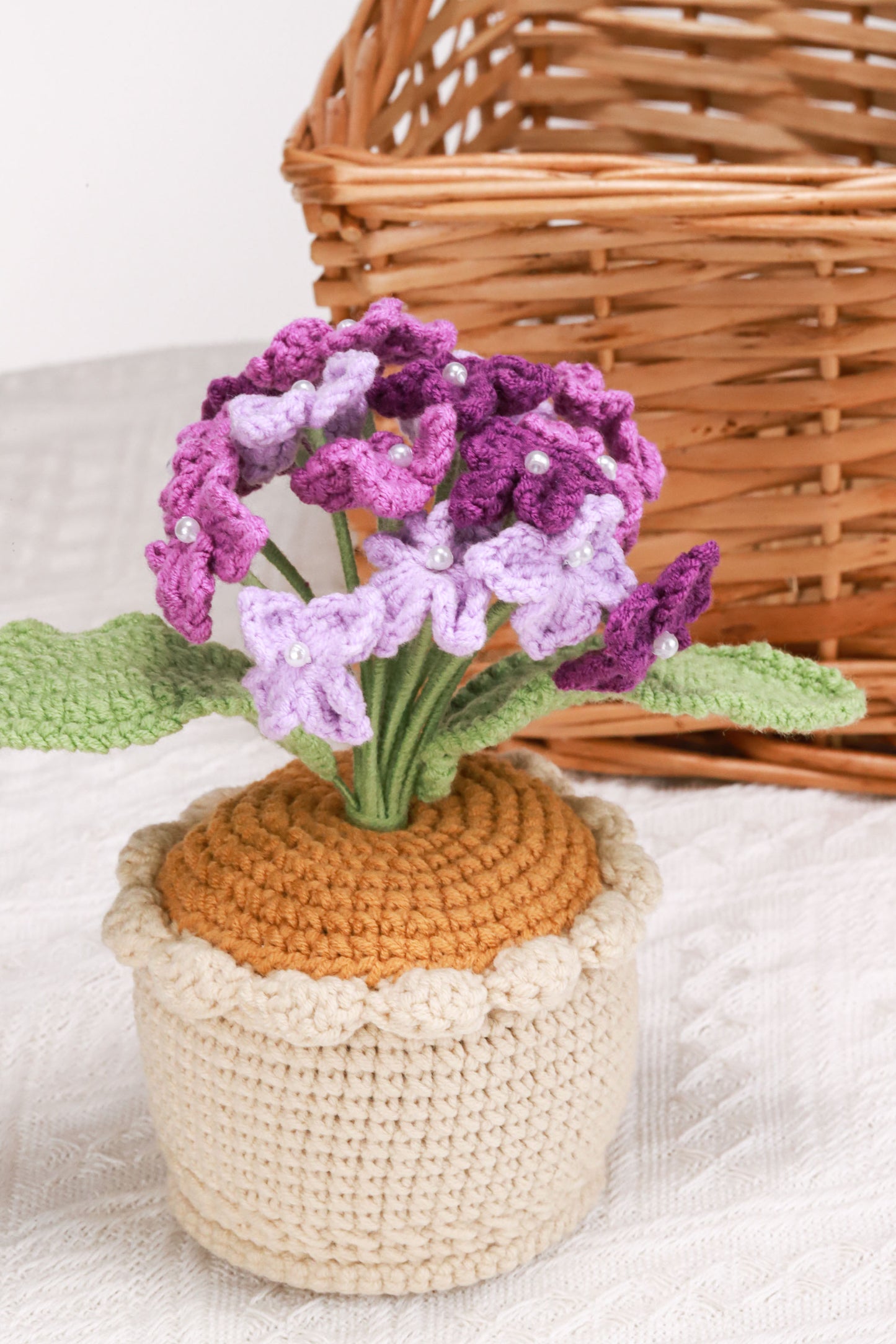 purple Hydrangea