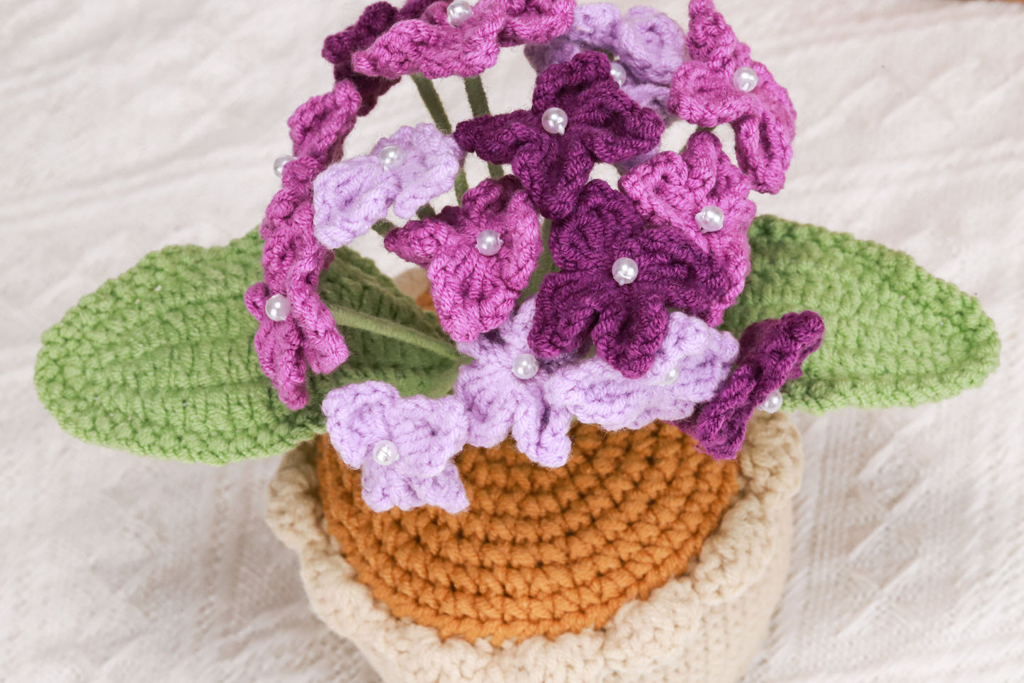 purple Hydrangea