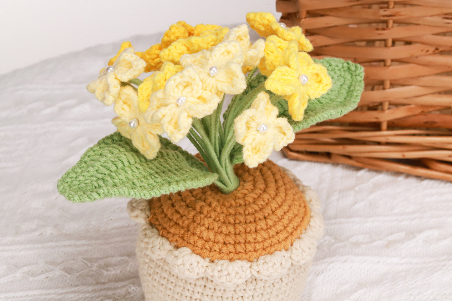yellow Hydrangea