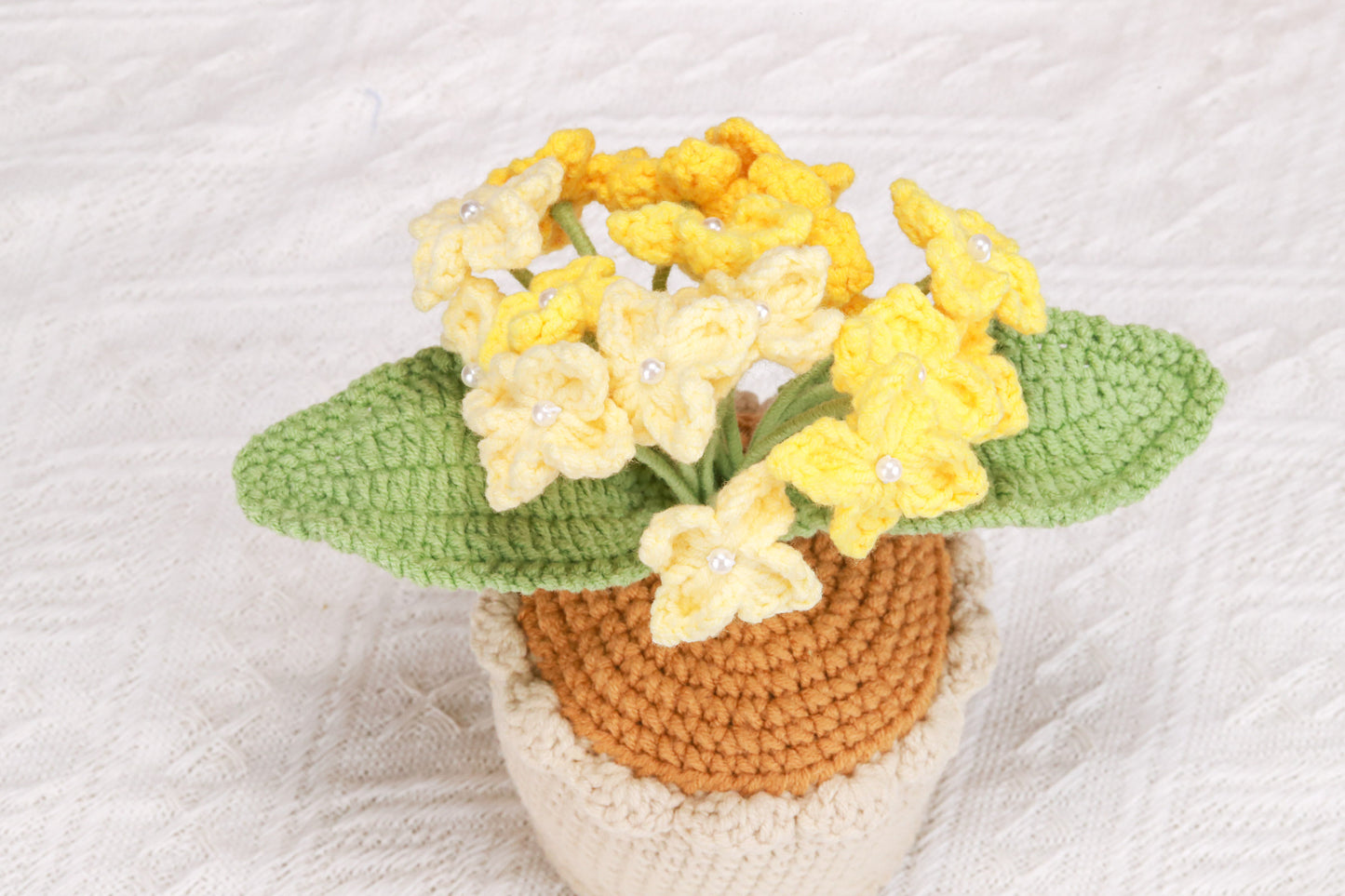 yellow Hydrangea