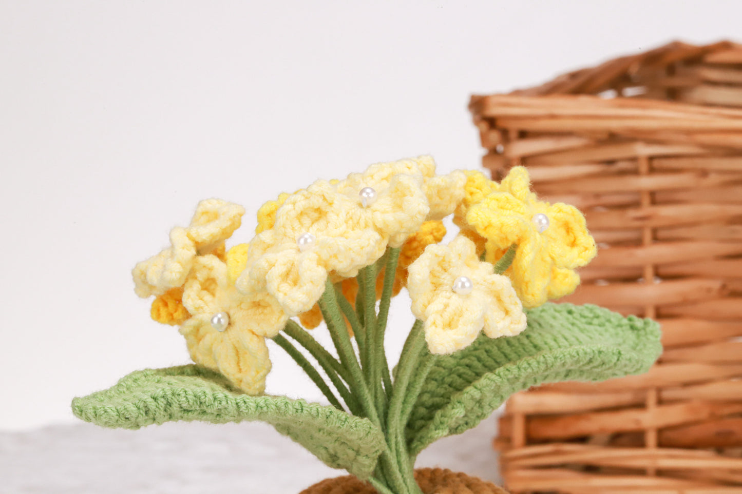 yellow Hydrangea