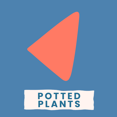 Potted Plants