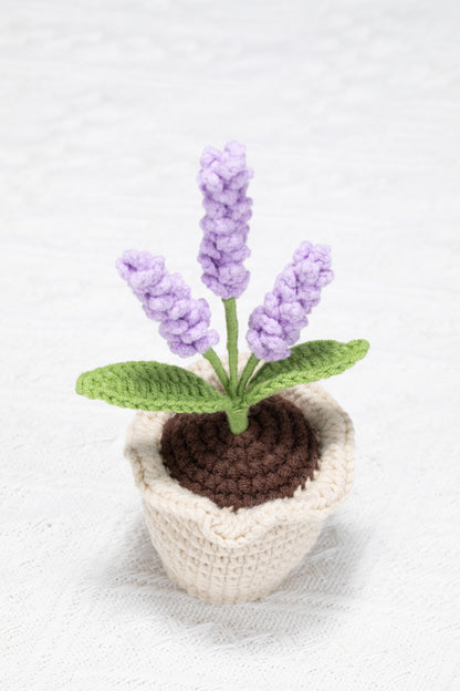 lavender