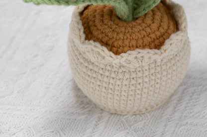 pink Crocosmia lucifer