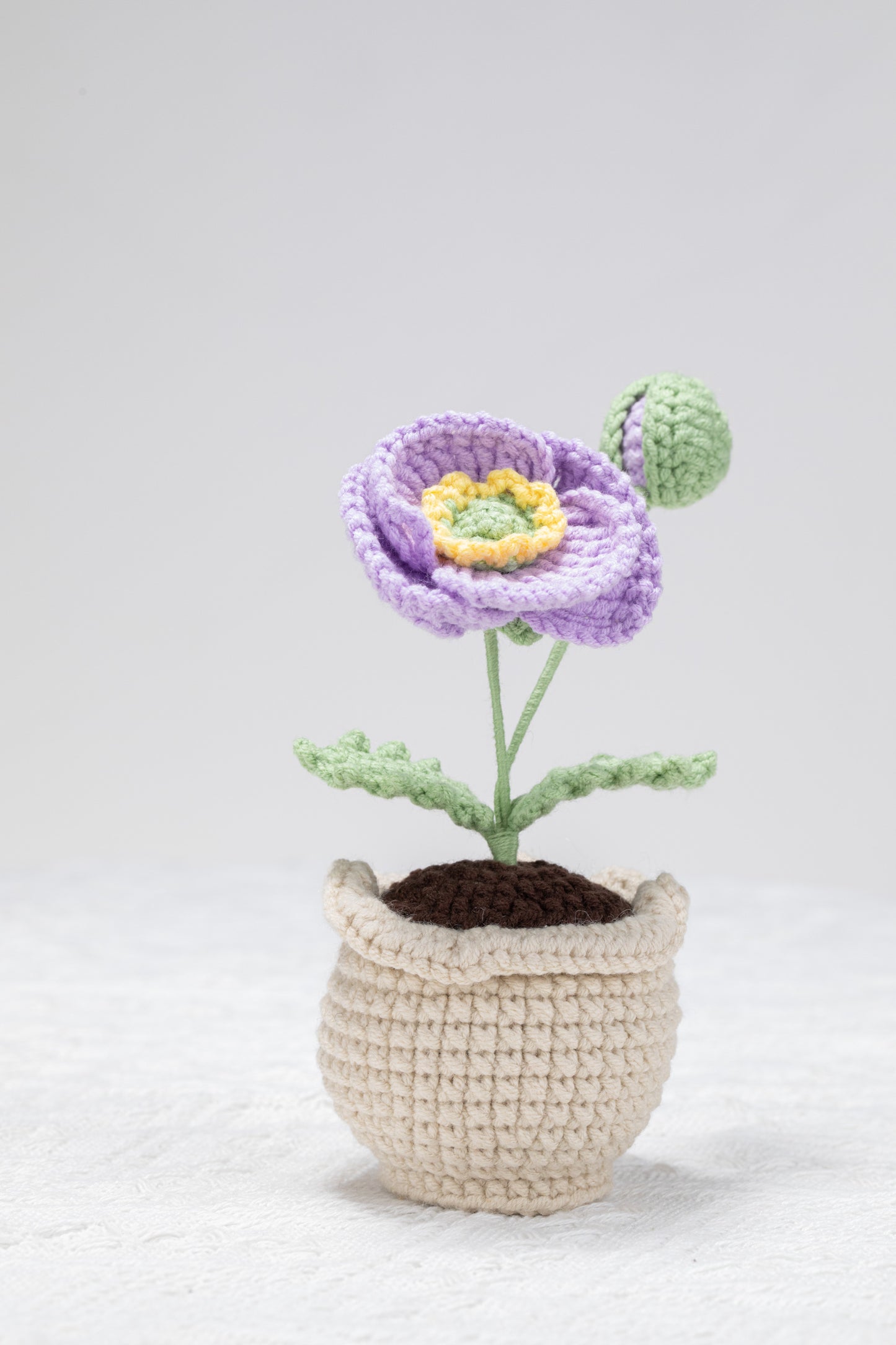 purple poppy