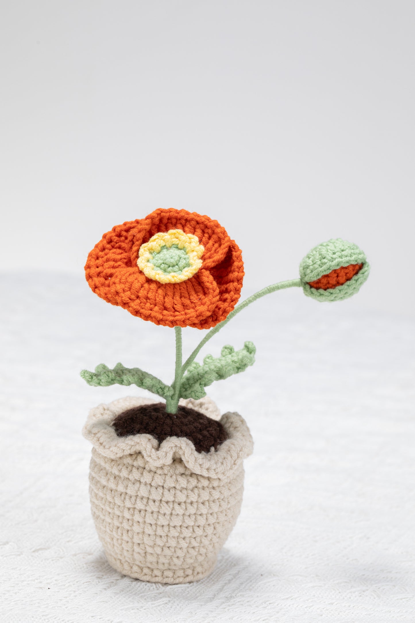 orange poppy